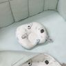 Ортопедична подушка Piccolino "Animal world" для новорожденных, 20х23 см, арт. 111805.02, колір Мятный (фото3)