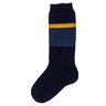 Шкарпетки "Captain", арт. 090.13834, колір Синий