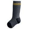 Шкарпетки для хлопчиків(183 M13 ) (095, 020), арт. 090.01016, колір Серый